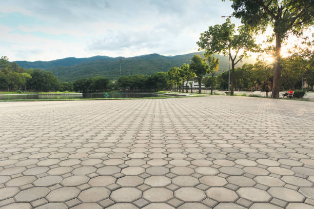 Best Driveway Paving Contractor  in Olivarez, TX